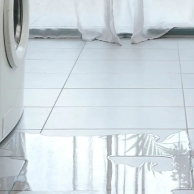 Appliance Leak Cleanup in Tahoka, TX