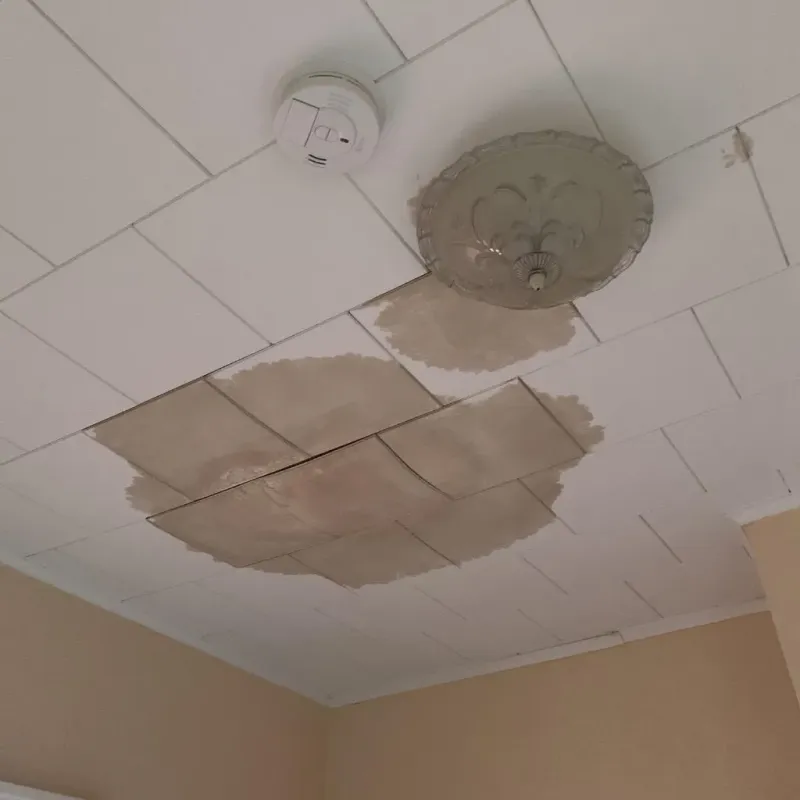 Ceiling Water Damage Repair in Tahoka, TX