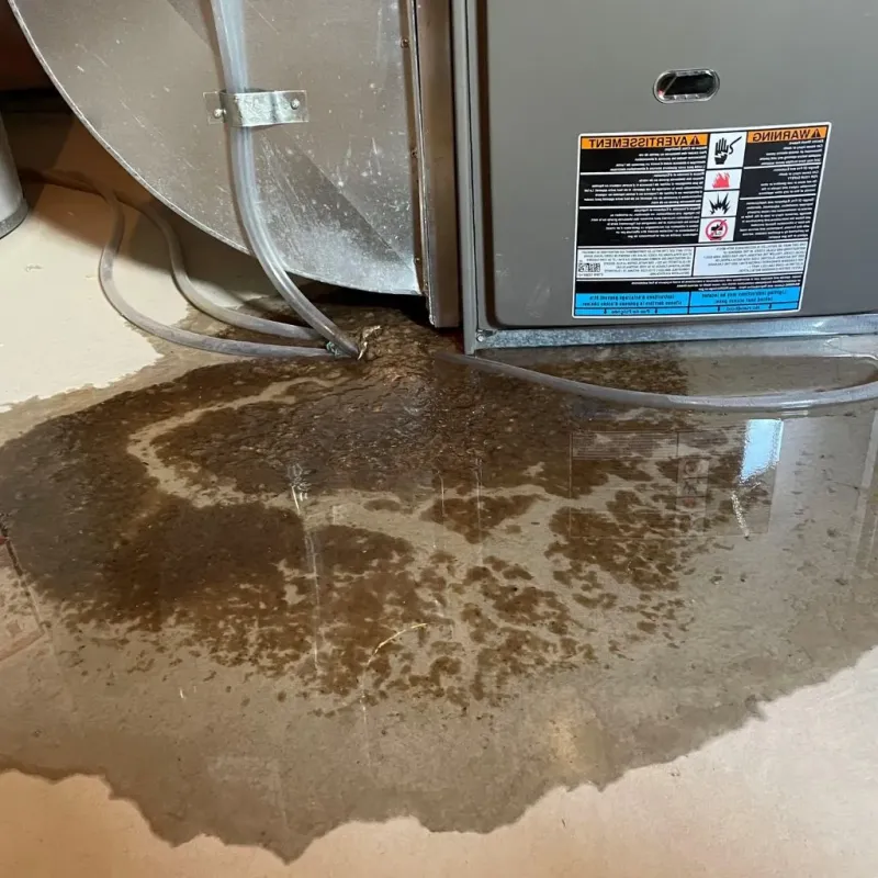 Pipe Burst and Leak Restoration in Tahoka, TX